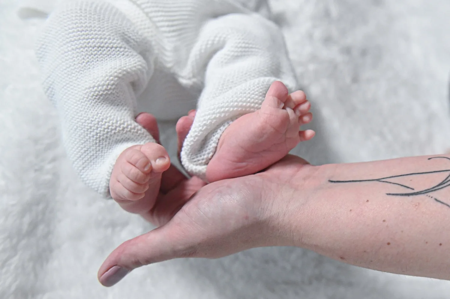 Pieds de nouveau-né posés sur le bras tatoué d'un parent