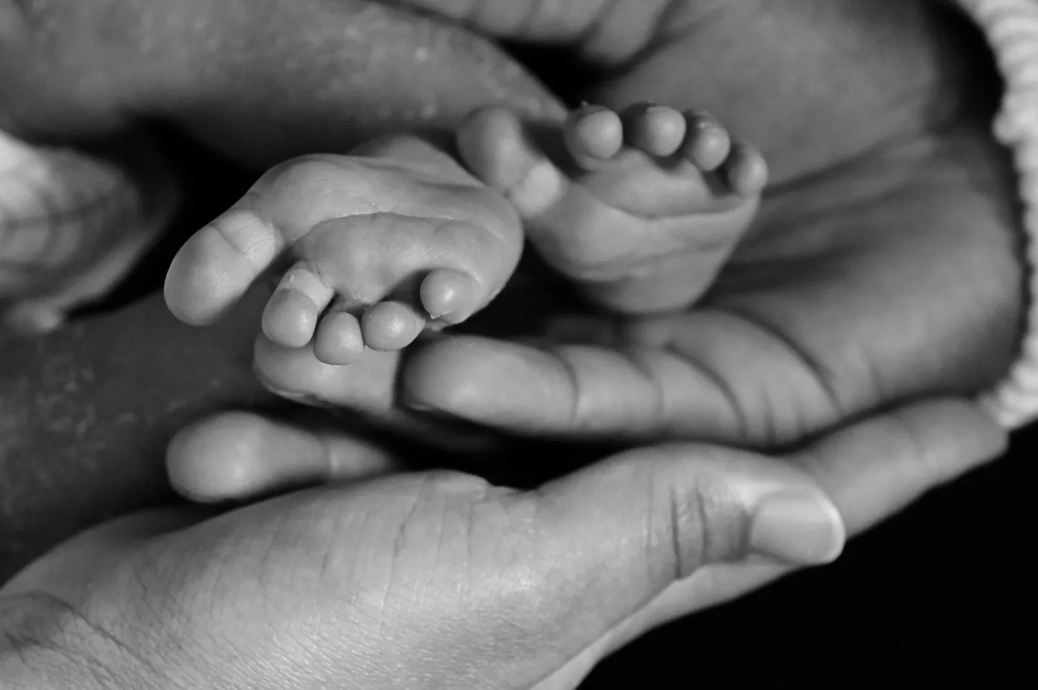 Pieds de nouveau-né au creux des mains, en noir et blanc